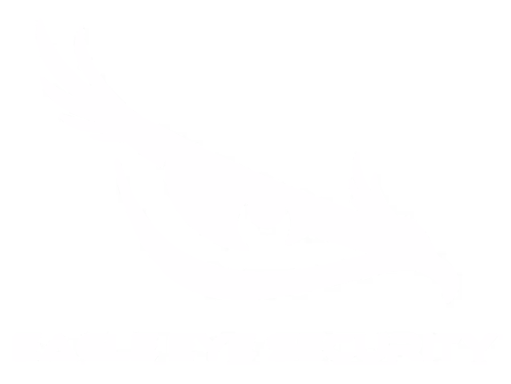 eagle eye security logo
