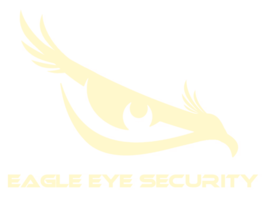 eagle eye security logo