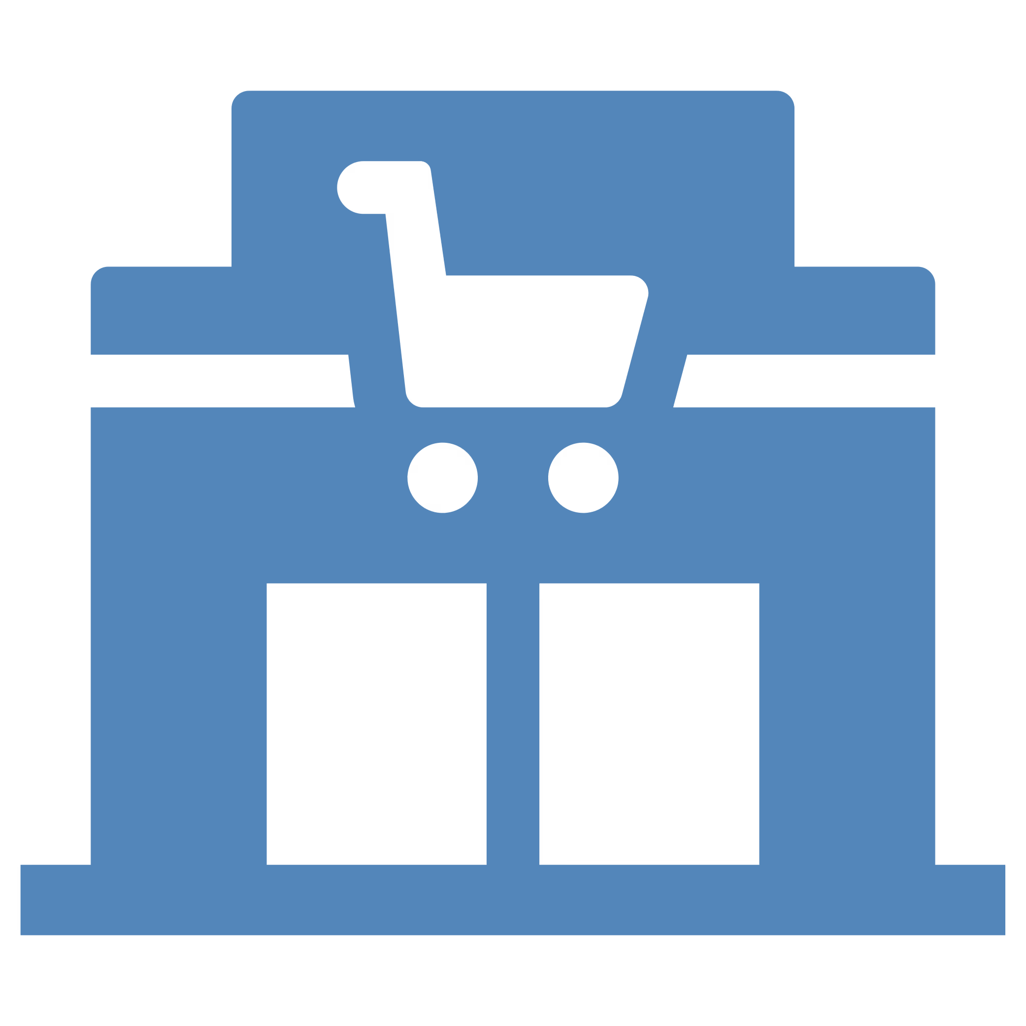 retail security icon